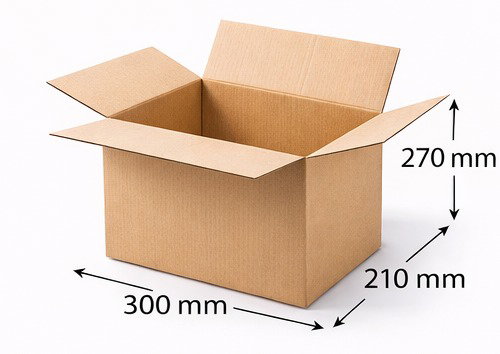 Cutie carton ondulat KN 300*210*270